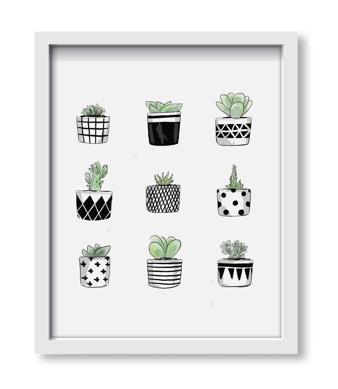 Pattern Succulents