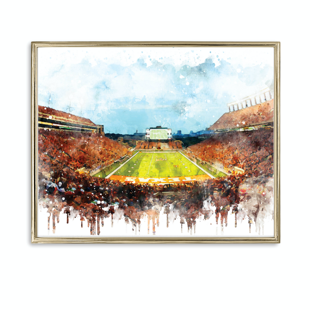 University of Austin Texas Stadium