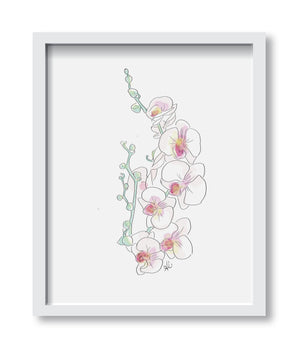 Janet's Orchid