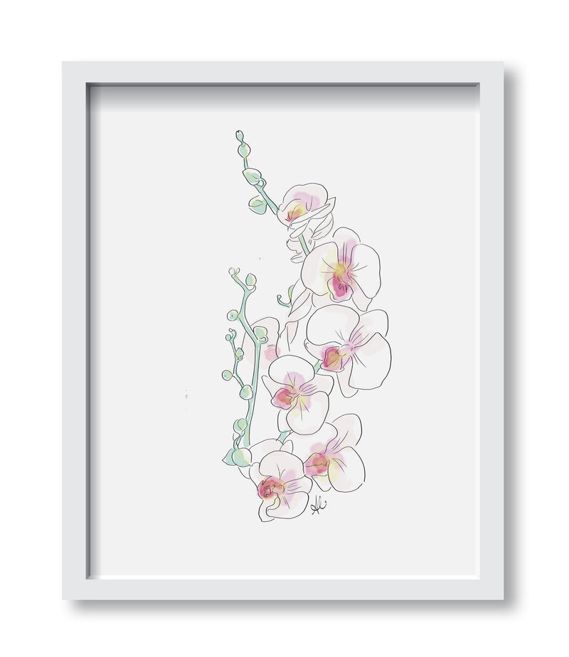 Janet's Orchid