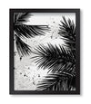 Palm Leaves