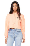 Fuckin' Fabulous 2 Crop Hoodie