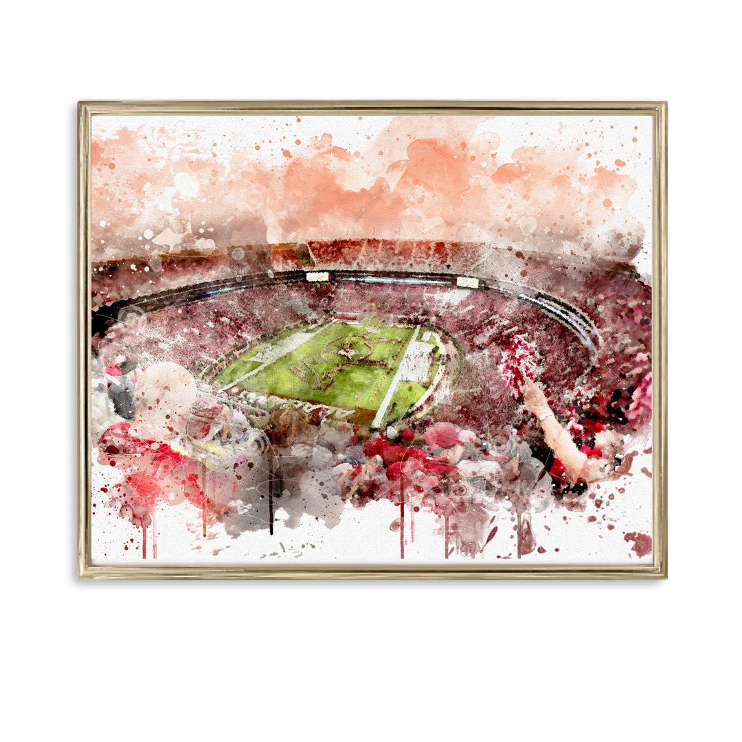 University of Alabama Stadium