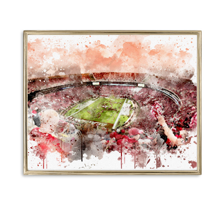University of Alabama Stadium