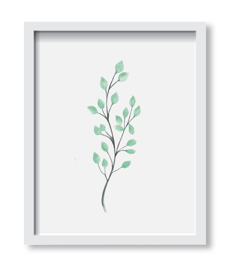 Vine